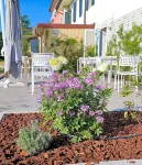Hotel al Gallo - pet friendly