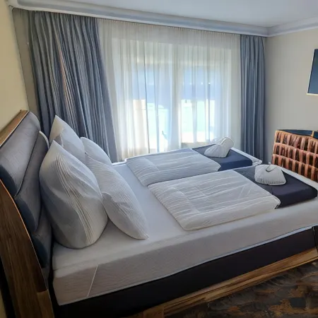 Hotel Rhin Inn