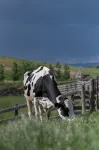 Custom, Countryside Barndominium for Multi-Family near Bozeman - Hot Springs