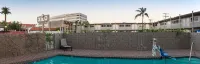 Hotel Xilo Glendale - Pools