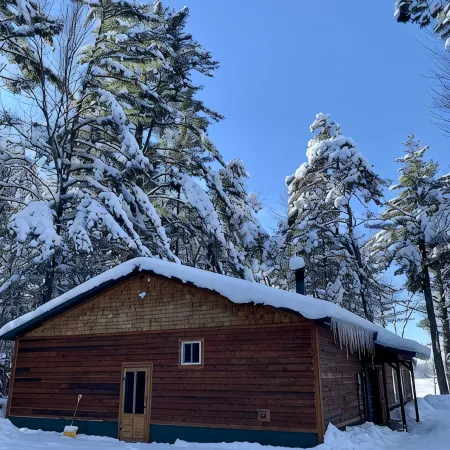 Year Round Dog-Friendly Lake Cabin on Atv & Snowmobile Trails - Outing, MN