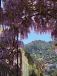 Casa Holstein Quinta de Sao Sebastiao Sintra - romantici