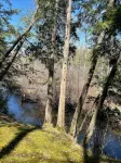 Direct Betsie River frontage. - Chalets