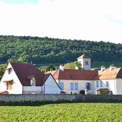 Hôtel les Deux Chèvres Gevrey-Chambertin Hotel Exterior
