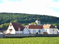 Hôtel les Deux Chèvres Gevrey-Chambertin Hotels near Lake Kir