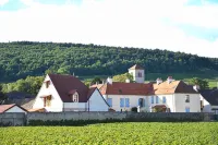 Hôtel les Deux Chèvres Gevrey-Chambertin - Romantisk