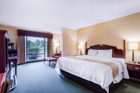 Precious Hotel