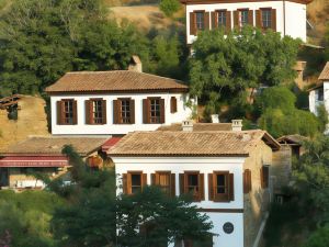 Terrace Houses 席裡恩斯- 無花果，橄欖表匠和葡萄藤