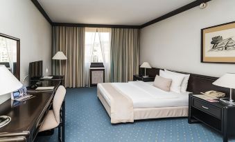 a large bed with white linens is in a room with blue carpet and two lamps at Hotel Holiday