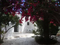 House with Garden Wala