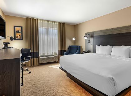 Comfort Inn & Suites North Dallas-Addison