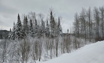 Parc du Mont-Citadelle