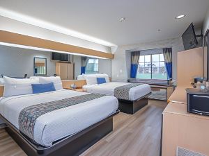 Microtel Inn & Suites by Wyndham Albertville