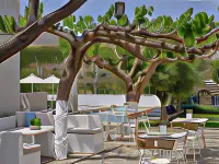 Aelia Hotels in Gavrio