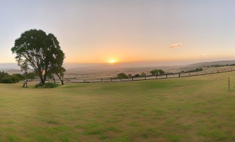Lush Pastures