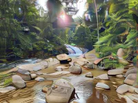 Rock Forest Chalet Hotels in Karak