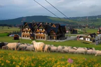 Hotel Zawrat Ski Resort & Spa Отели в г. 