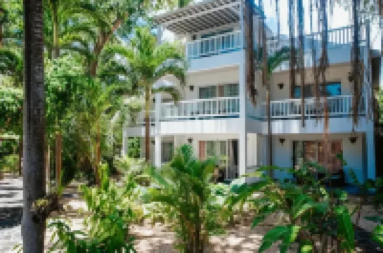 Hibiscus Boutique Hotel Hotels in 