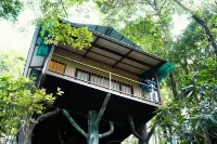 Space Rock Resort Hotel a Kalpetta