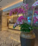Studio Apartment Pollux for Rent, Fully Furnished
