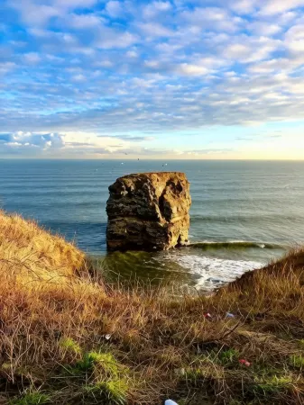 Beechwood Guest House Отели рядом с достопримечательностью «South Shields Museum & Art Gallery»