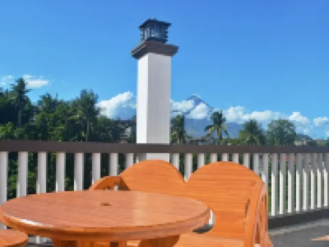 마욘 백패커스 호스텔