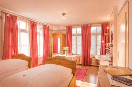Historic Hotel Falken