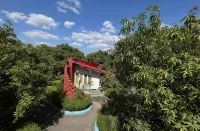 Amraness Luxury Resort Sasan Gir