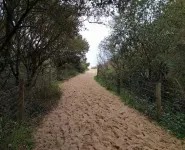 RENTAL 88 2/4 persons 500m beach 2 Etoiles Hotels in Dolus D'Oleron