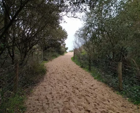 RENTAL 88 2/4 persons 500m beach 2 Etoiles