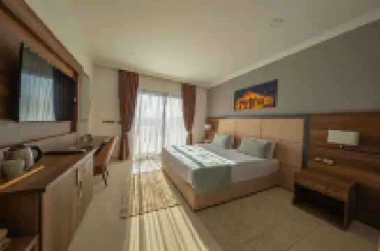 Mc Palace Hotel Spa & Convention のホテル