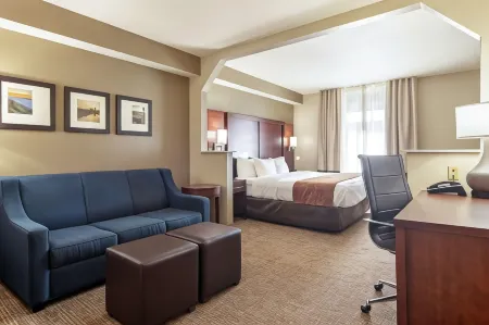 Comfort Suites Knoxville Airport