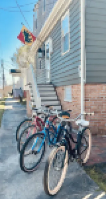 Historic Alston-Charlotte Cottage in Downtown New Bern!