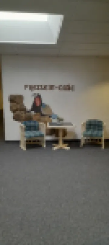 Above the clouds, in the middle of the forest