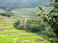 Ryokan Tanoura-Onsen Hotels in Hirado