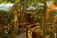 Vista do Lago Jungle Lodge Các khách sạn ở 