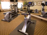 Hampton Inn & Suites Houston - Rosenberg - Gym