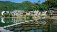 Shanyueyao · Oxygen-Rich Forest Boutique Stay (Yaoli Ancient Town Scenic Area)