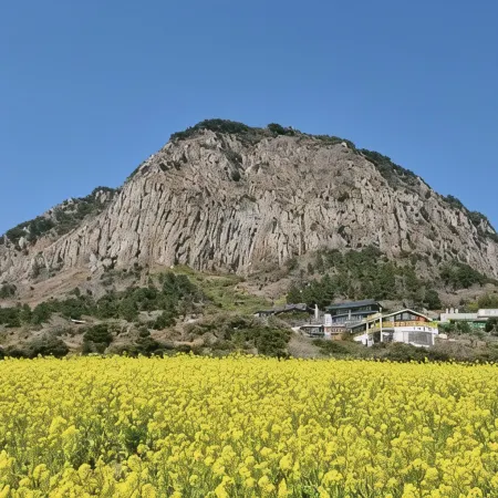 Masion Sanbang Jeju Отели рядом с достопримечательностью «Гора Санбансан»