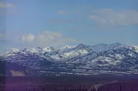 Experience True Alaska Secluded Cabin Just 15 Miles from Denali National Park.