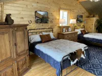 Barrel Sauna! Clean Cabin with Private Creek Access,  Wi-Fi, and Pet Friendly! - Hytter