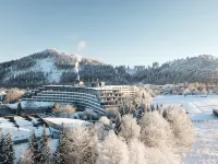 Sauerland Stern Hotel Hotels in Willingen