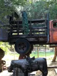 Wine Country Working Wool Sheep Farm Stay; Hay Barn Cottage 501c3 - Apartments