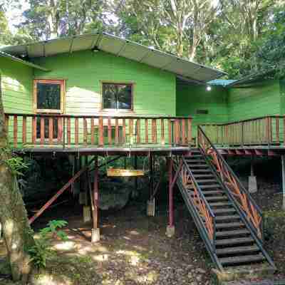 Canopy Wonders House: A Place Among Tree Tops! Hotel Exterior