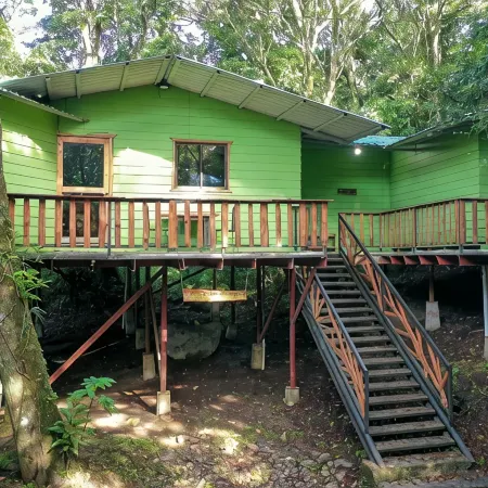Canopy Wonders House: A Place Among Tree Tops!