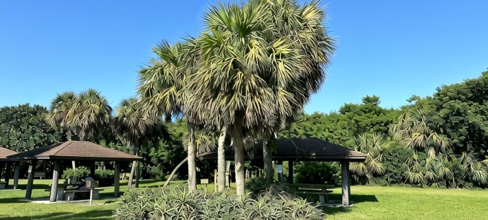 SOUTH BEACH's Closest Home • AQUA COTTAGE • Comfy Cozy Fun Seaside Vero Beach Hotels in Vero Beach