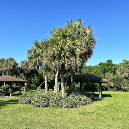 SOUTH BEACH's Closest Home • AQUA COTTAGE • Comfy Cozy Fun Seaside Vero Beach