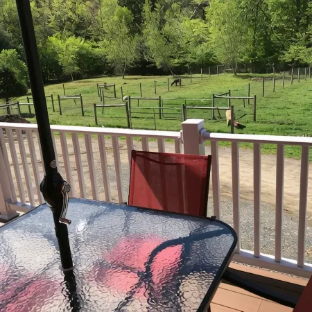 Alpaca Farmstay & Dark Skies, PA Wilds -Lumber Heritage  Region. Pet-Friendly!