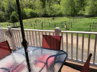 Alpaca Farmstay & Dark Skies, PA Wilds -Lumber Heritage  Region. Pet-Friendly! - 3 étoiles