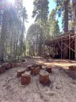 “Big Trees Retreat,” Boasts 5BR/2.5BA, Sleeps-16. 2-level living. Dog friendly! - Chalets